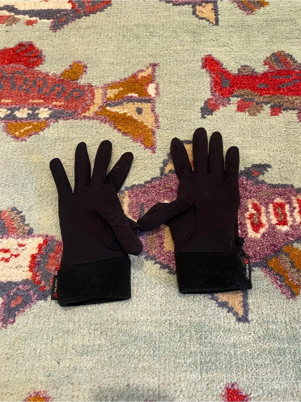 The North Face Men's Outdoors Winter Insulated Fleece Ski/Snow Gloves